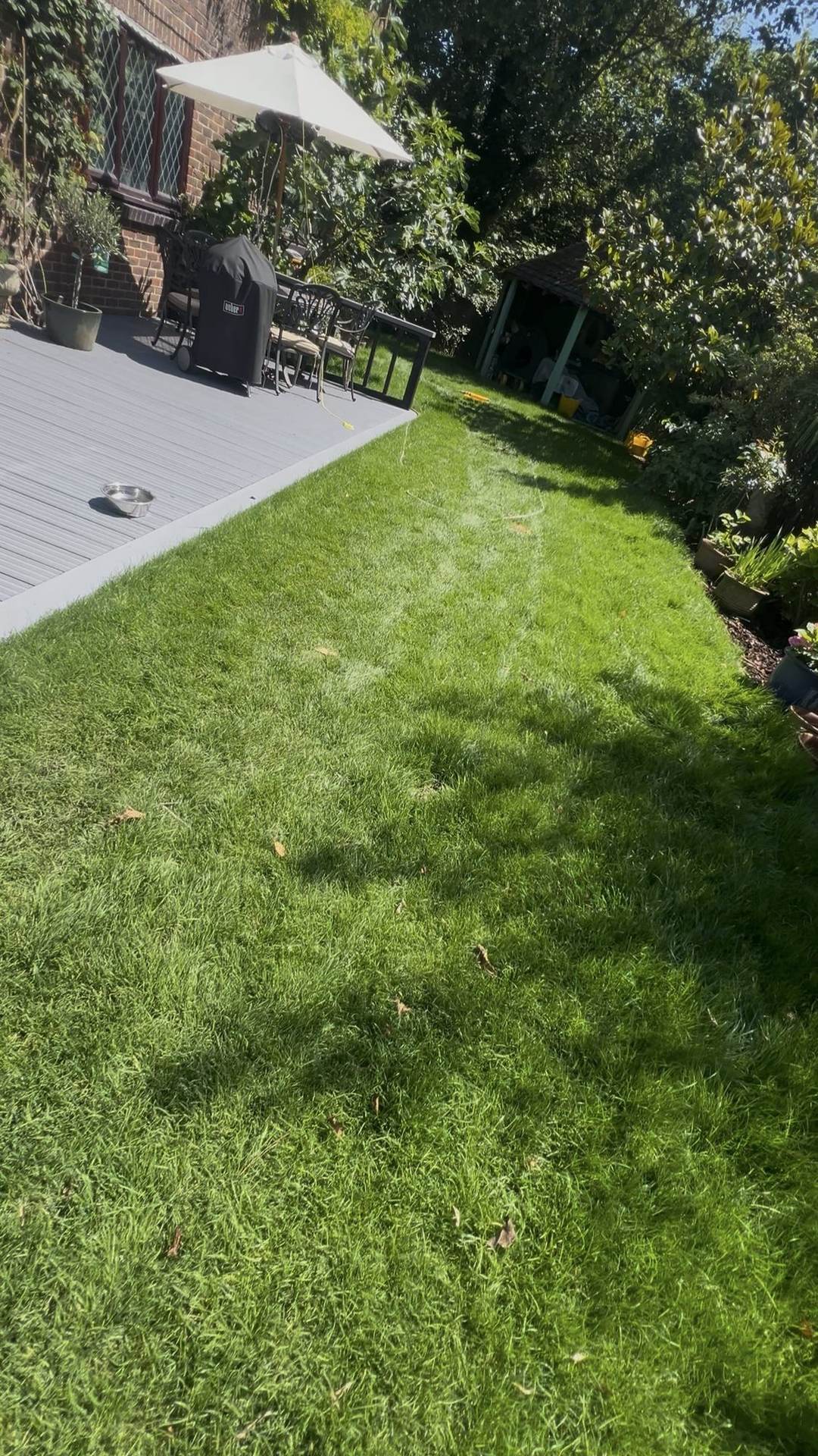 The finished lawn, lush and green, running alongside the new grey-stained deck
