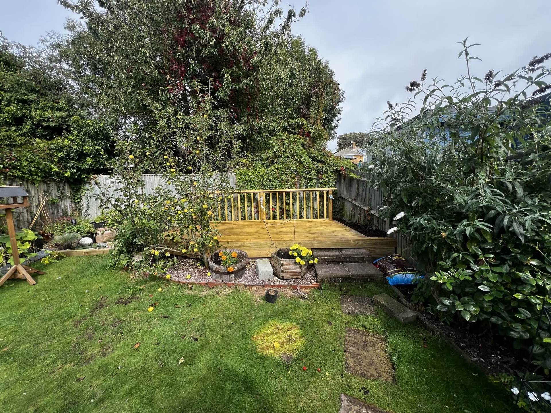 Wide view of the garden lawn and apple tree with the new raised deck and balustrade visible in the far corner