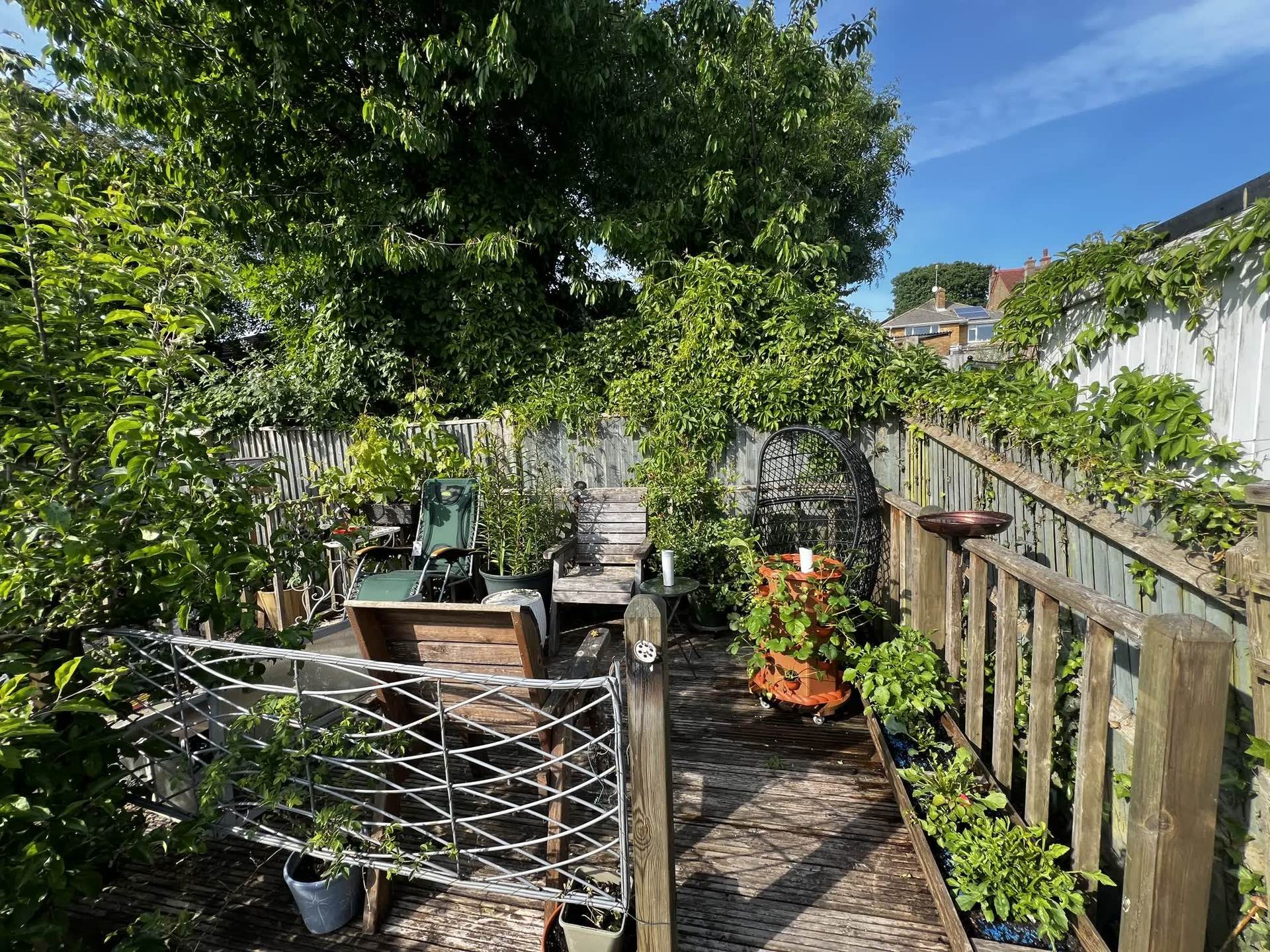 The old deck used for storage, with a rattan egg chair, planters and climbing plants before it was rebuilt