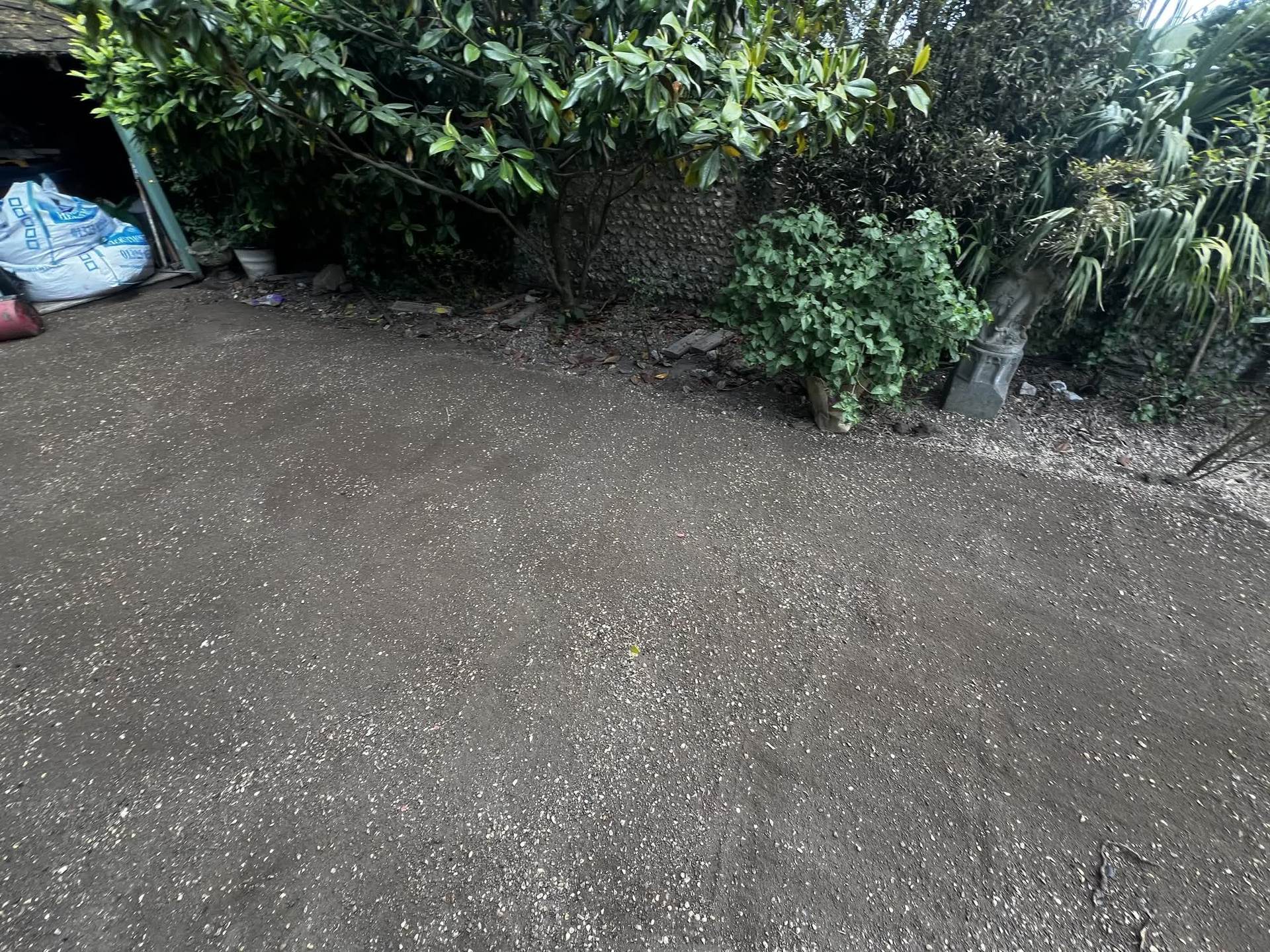 Close-up of the hard, compacted bare ground beside the boundary hedge before turfing