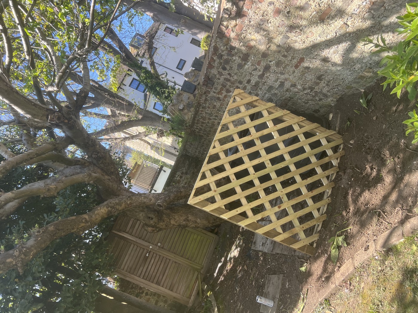 Project photo 22